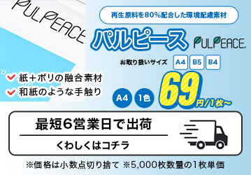 パルピース